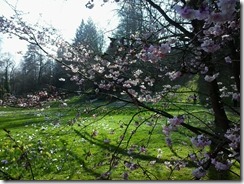Fr&uuml;hling in Baden-Baden